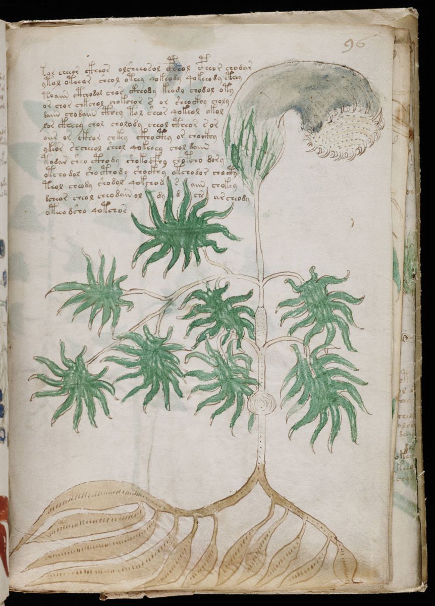 Voynich Manuscript (173).jpg