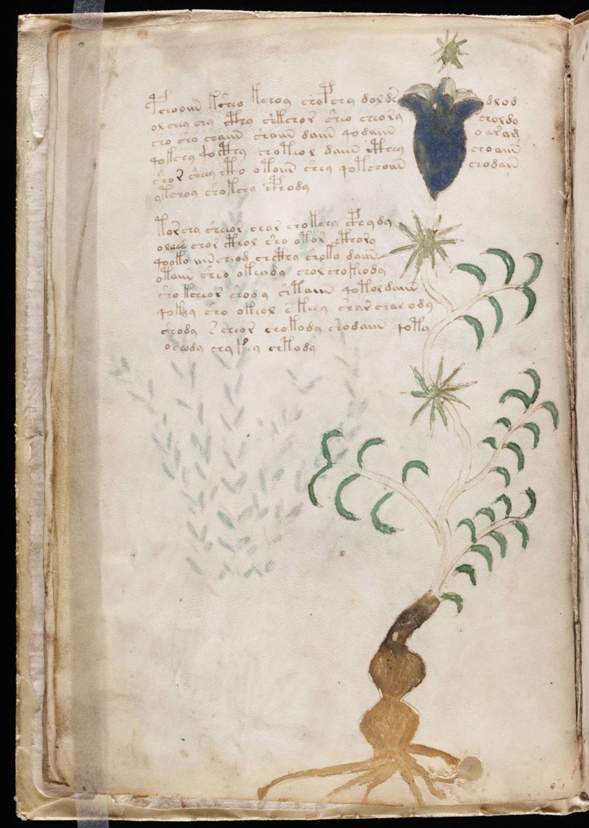 Voynich Manuscript (10).jpg