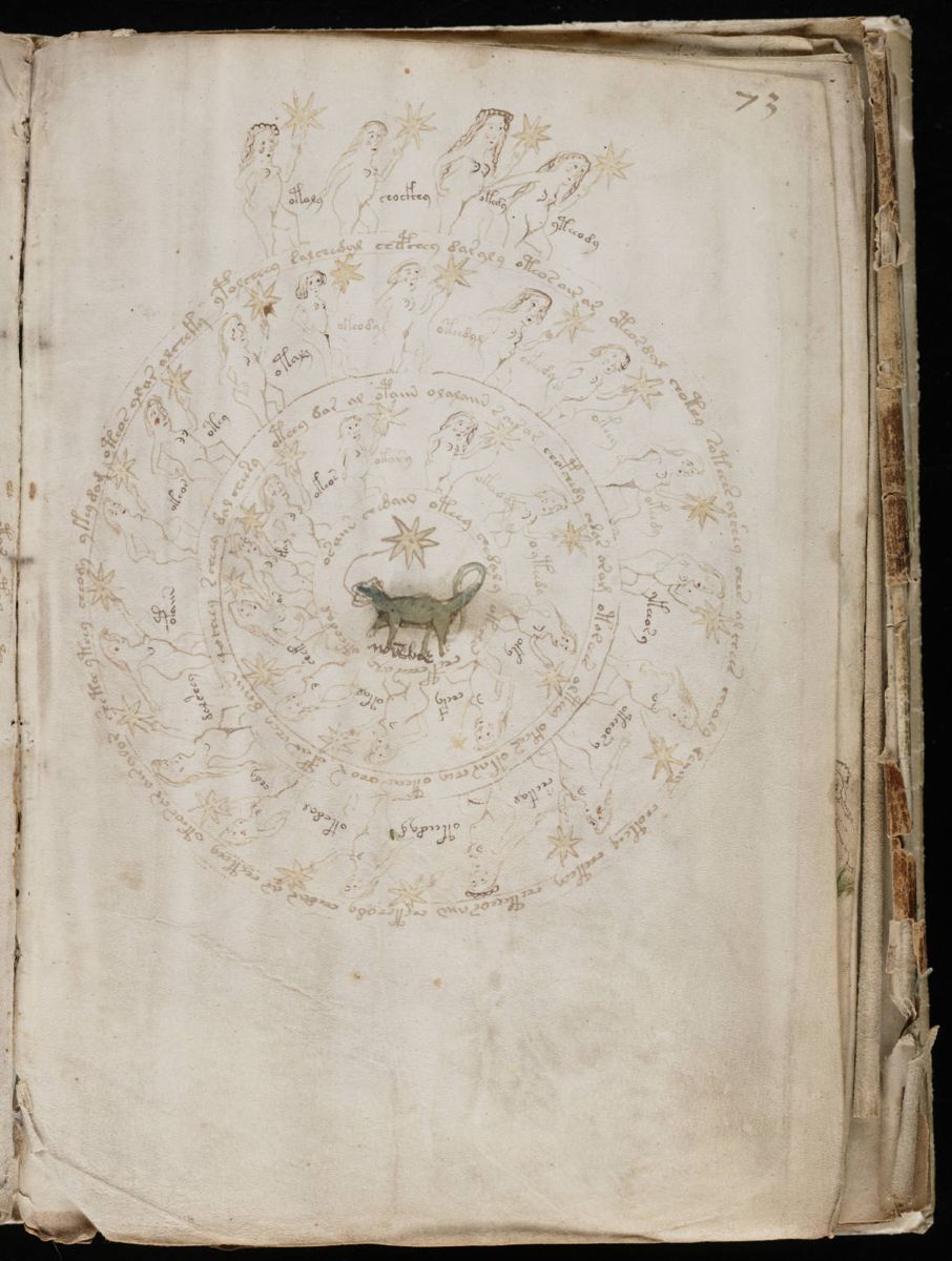 Voynich Manuscript (133).jpg