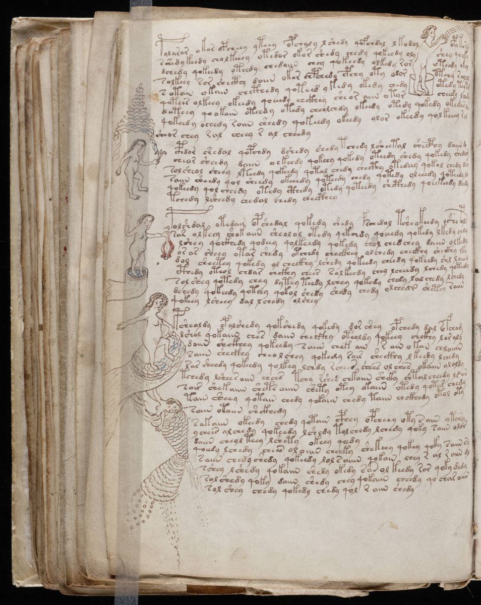 Voynich Manuscript (138).jpg