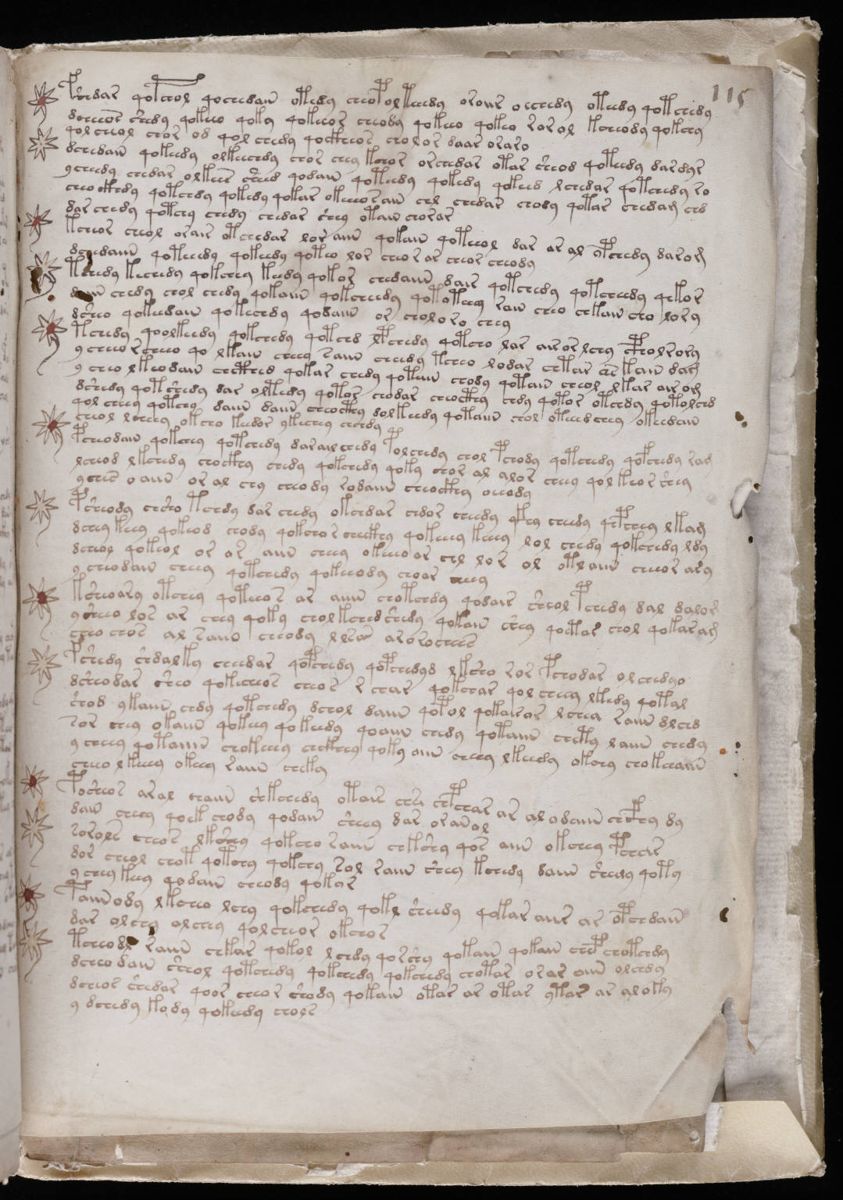 Voynich Manuscript (203).jpg