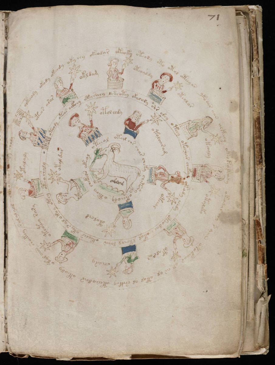 Voynich Manuscript (129).jpg