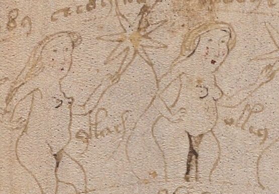 Voynich Manuscript (131) f72v3 detail ((retouching)).jpg