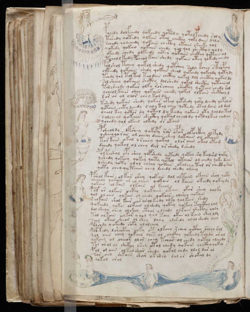 Voynich MS folio (text)