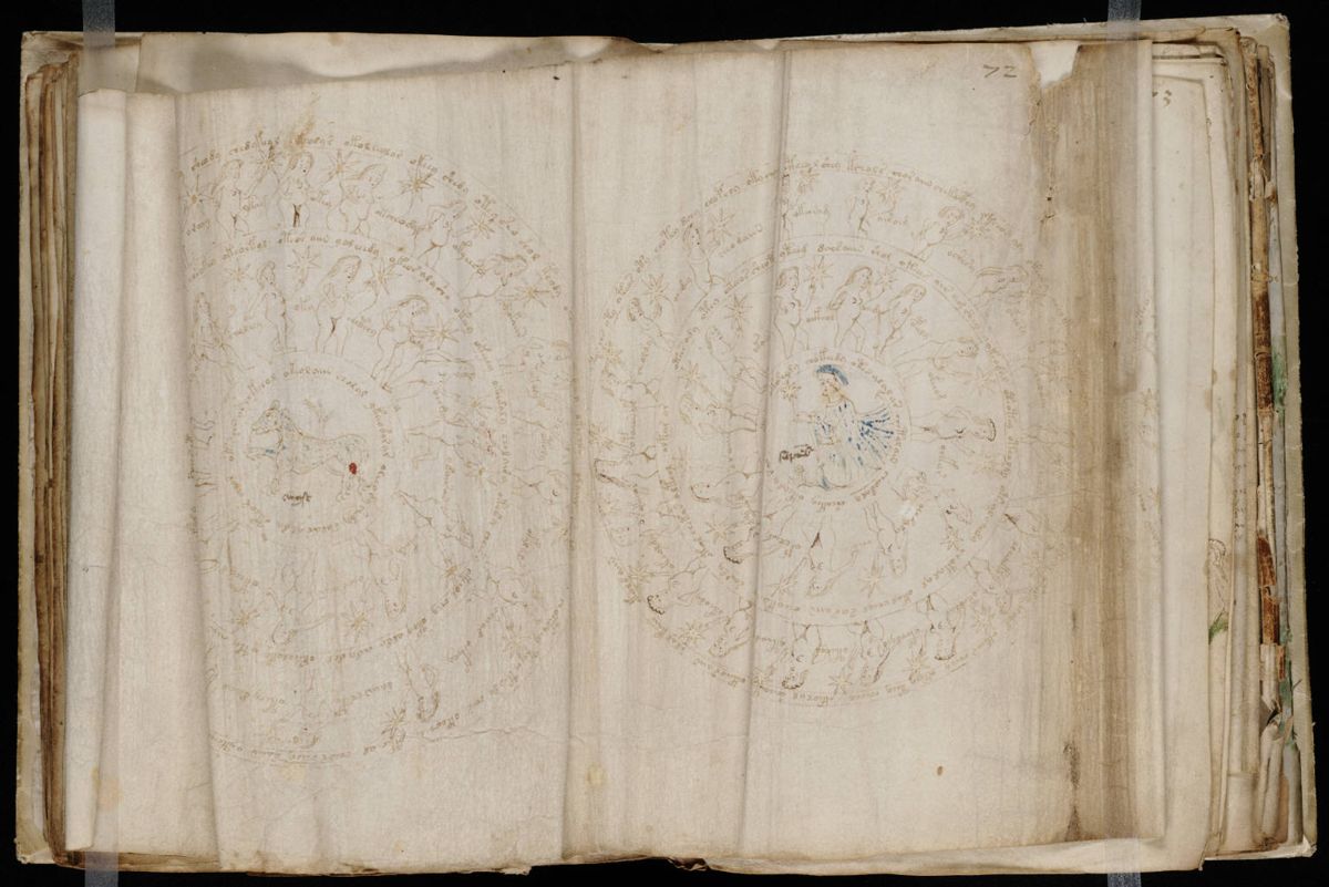 Voynich Manuscript (131).jpg
