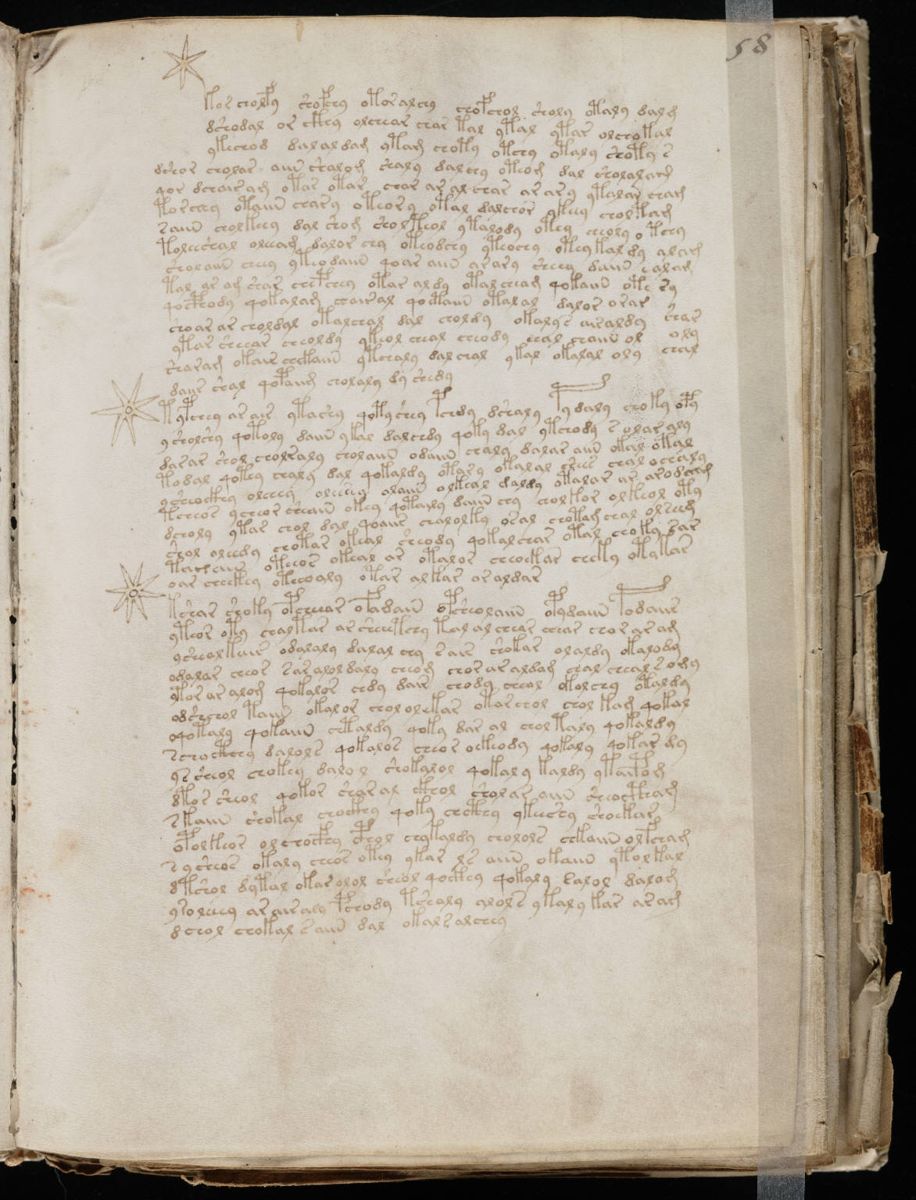 Voynich Manuscript (115).jpg