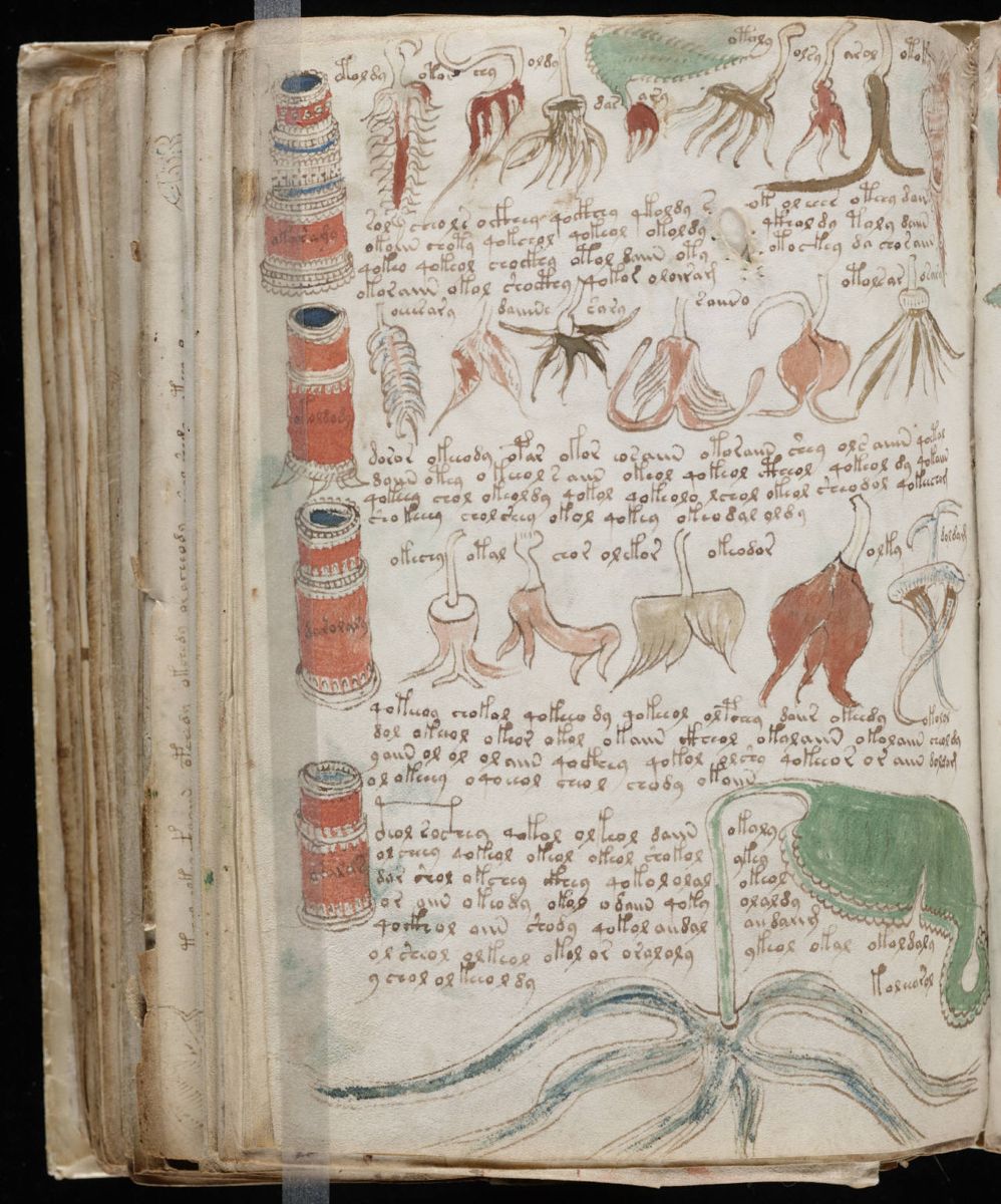 Voynich Manuscript (176).jpg