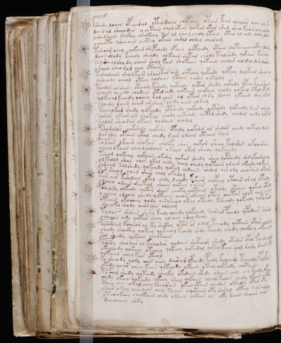 Voynich Manuscript (190).jpg