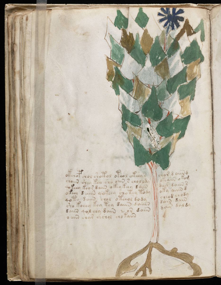 Voynich Manuscript (76).jpg