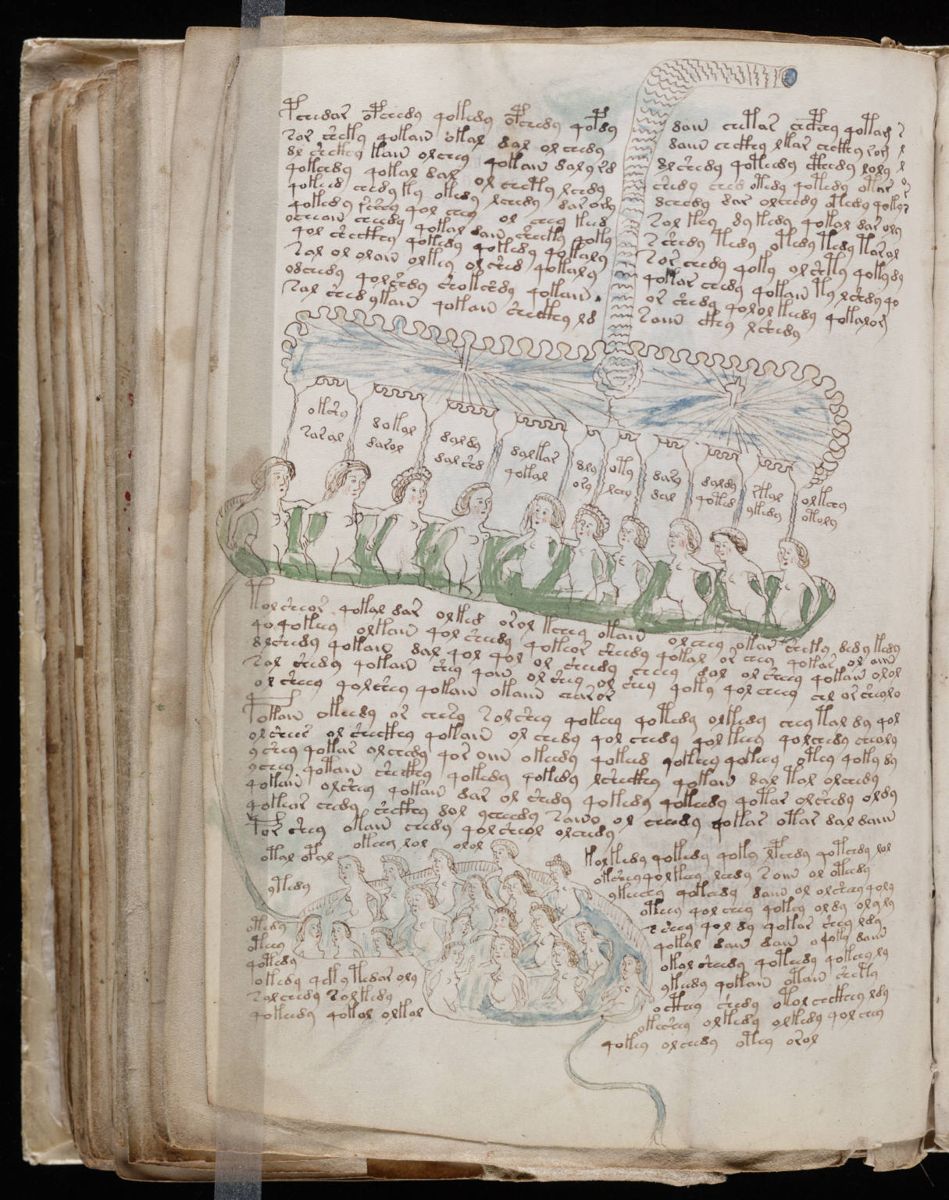 Voynich Manuscript (136).jpg