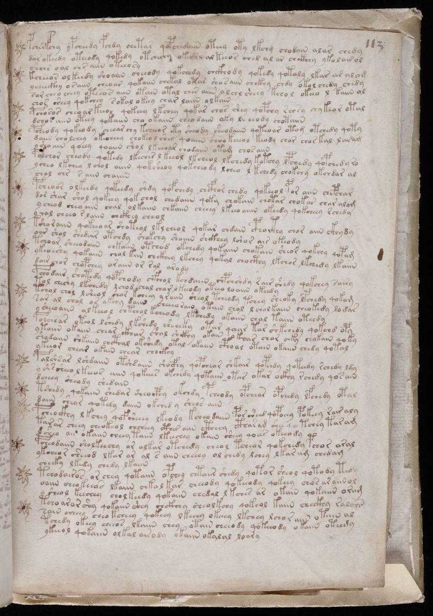 Voynich Manuscript (199).jpg