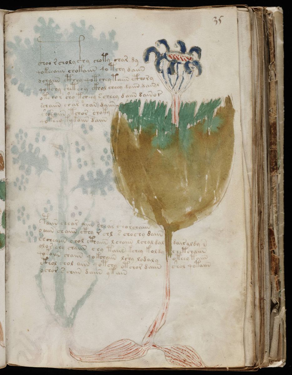 Voynich Manuscript (69).jpg