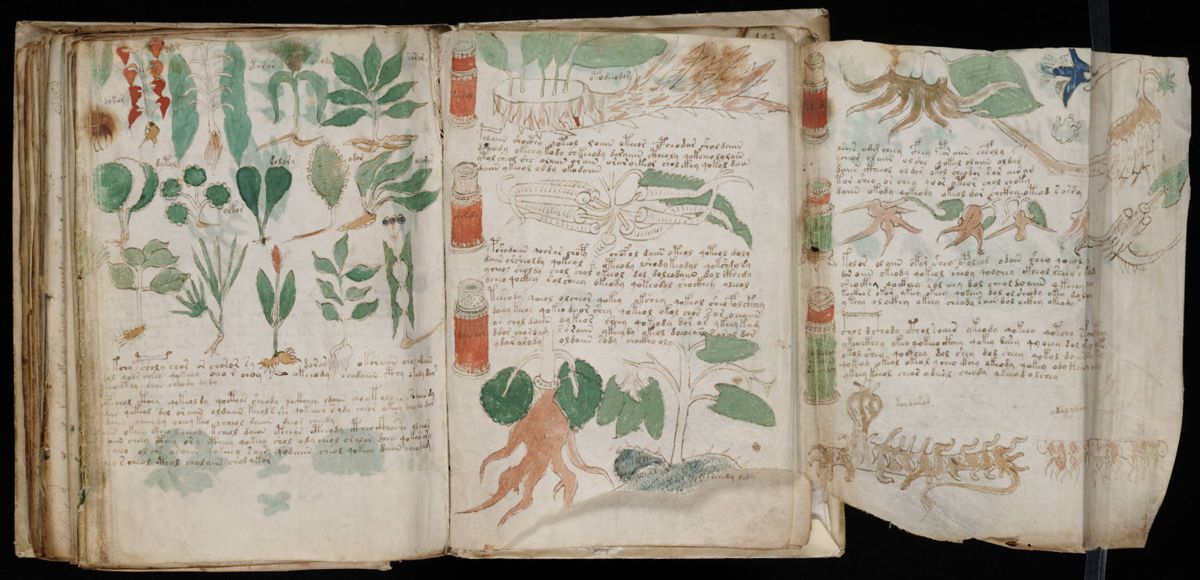 Voynich Manuscript (180).jpg