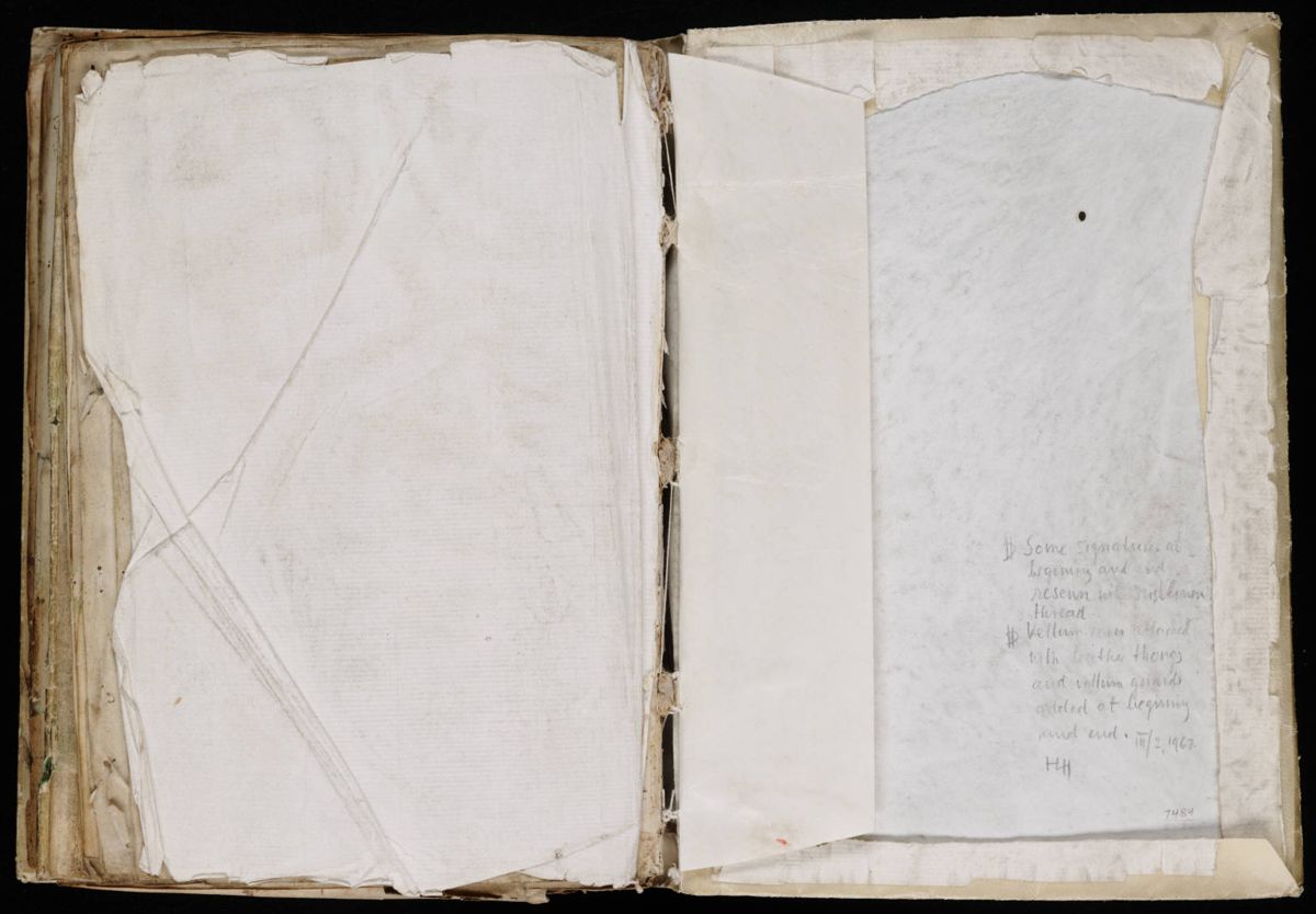Voynich Manuscript (208).jpg
