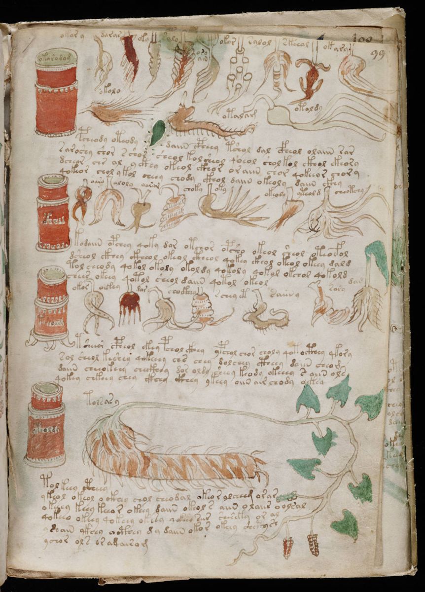 Voynich Manuscript (175).jpg