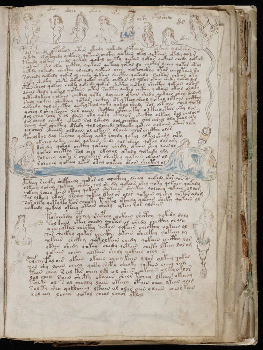 Voynich Manuscript (145).jpg